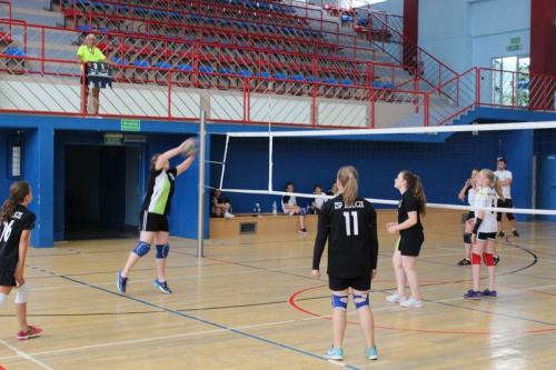 IMG_1586_0.JPG