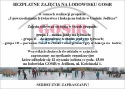 bezplatne zajecia na lodo_1.JPG